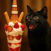 ゆうみ スーパームーン🌝見ました？？ 濃厚即19妻