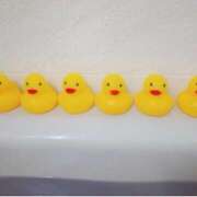 えみり ☆予定☆ 国分寺人妻研究会