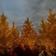 ヒメ日記 2025/12/22 15:24 投稿 えみり 国分寺人妻研究会