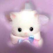 ヒメ日記 2025/06/29 18:23 投稿 かえで SOPHIA（ソフィア）