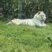 ヒメ日記 2025/04/21 13:44 投稿 ひとみ 奥鉄オクテツ兵庫