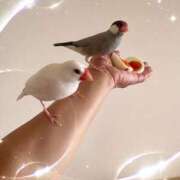 ヒメ日記 2025/07/10 14:15 投稿 ひとみ 奥鉄オクテツ兵庫