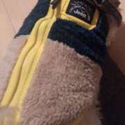 ヒメ日記 2024/12/13 06:04 投稿 朋香(ともか) ロケットワイフ