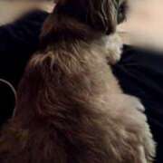 ヒメ日記 2024/12/15 02:37 投稿 朋香(ともか) ロケットワイフ