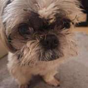 ヒメ日記 2024/12/16 18:40 投稿 朋香(ともか) ロケットワイフ