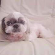 ヒメ日記 2024/12/20 16:27 投稿 朋香(ともか) ロケットワイフ