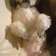 ヒメ日記 2024/12/23 05:51 投稿 朋香(ともか) ロケットワイフ