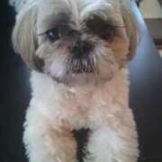 ヒメ日記 2025/01/06 10:58 投稿 朋香(ともか) ロケットワイフ