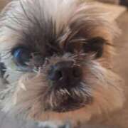 ヒメ日記 2025/01/12 16:46 投稿 朋香(ともか) ロケットワイフ