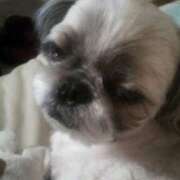 ヒメ日記 2025/01/14 23:41 投稿 朋香(ともか) ロケットワイフ