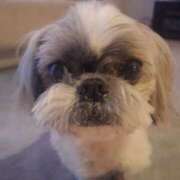 ヒメ日記 2025/01/16 07:11 投稿 朋香(ともか) ロケットワイフ