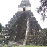 ヒメ日記 2025/01/18 23:03 投稿 朋香(ともか) ロケットワイフ