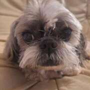 ヒメ日記 2025/01/24 17:00 投稿 朋香(ともか) ロケットワイフ