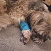 ヒメ日記 2025/02/05 18:19 投稿 朋香(ともか) ロケットワイフ