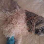 ヒメ日記 2025/02/06 08:31 投稿 朋香(ともか) ロケットワイフ