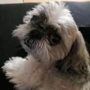 ヒメ日記 2025/02/08 10:21 投稿 朋香(ともか) ロケットワイフ