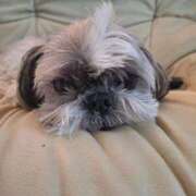 ヒメ日記 2025/02/17 08:16 投稿 朋香(ともか) ロケットワイフ