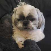 ヒメ日記 2025/03/06 01:19 投稿 朋香(ともか) ロケットワイフ