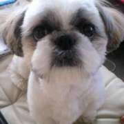 ヒメ日記 2025/03/14 23:28 投稿 朋香(ともか) ロケットワイフ