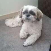 ヒメ日記 2025/03/26 20:22 投稿 朋香(ともか) ロケットワイフ