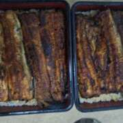 ヒメ日記 2025/04/12 22:34 投稿 朋香(ともか) ロケットワイフ