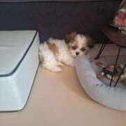 ヒメ日記 2025/05/24 20:02 投稿 朋香(ともか) ロケットワイフ