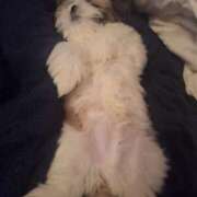 ヒメ日記 2025/05/25 19:38 投稿 朋香(ともか) ロケットワイフ