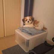 ヒメ日記 2025/05/28 17:41 投稿 朋香(ともか) ロケットワイフ