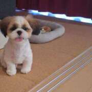 ヒメ日記 2025/06/25 08:00 投稿 朋香(ともか) ロケットワイフ