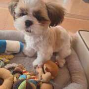 ヒメ日記 2025/06/30 16:55 投稿 朋香(ともか) ロケットワイフ