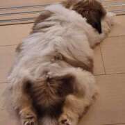 ヒメ日記 2025/07/02 09:01 投稿 朋香(ともか) ロケットワイフ