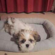 ヒメ日記 2025/07/05 00:48 投稿 朋香(ともか) ロケットワイフ