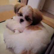 ヒメ日記 2025/07/16 06:08 投稿 朋香(ともか) ロケットワイフ