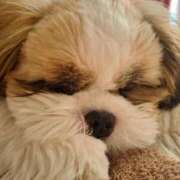 ヒメ日記 2025/07/30 09:12 投稿 朋香(ともか) ロケットワイフ