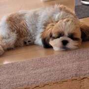 ヒメ日記 2025/08/02 18:03 投稿 朋香(ともか) ロケットワイフ