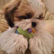 ヒメ日記 2025/08/09 15:28 投稿 朋香(ともか) ロケットワイフ