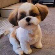 ヒメ日記 2025/08/15 13:55 投稿 朋香(ともか) ロケットワイフ