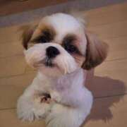 ヒメ日記 2025/08/15 19:27 投稿 朋香(ともか) ロケットワイフ