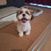 ヒメ日記 2025/08/26 23:02 投稿 朋香(ともか) ロケットワイフ