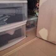 ヒメ日記 2025/09/02 17:19 投稿 朋香(ともか) ロケットワイフ