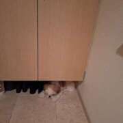 ヒメ日記 2025/09/05 12:35 投稿 朋香(ともか) ロケットワイフ