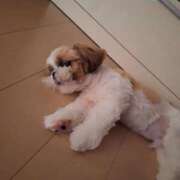 ヒメ日記 2025/09/13 18:18 投稿 朋香(ともか) ロケットワイフ