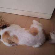 ヒメ日記 2025/09/21 06:27 投稿 朋香(ともか) ロケットワイフ