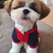 ヒメ日記 2025/09/21 19:01 投稿 朋香(ともか) ロケットワイフ