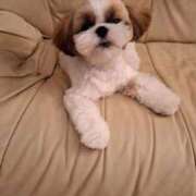 ヒメ日記 2025/09/23 08:27 投稿 朋香(ともか) ロケットワイフ