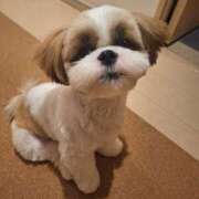 ヒメ日記 2025/09/28 09:11 投稿 朋香(ともか) ロケットワイフ