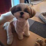 ヒメ日記 2025/10/07 14:24 投稿 朋香(ともか) ロケットワイフ