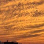 ヒメ日記 2025/10/08 22:01 投稿 朋香(ともか) ロケットワイフ