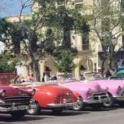 ヒメ日記 2025/10/18 22:52 投稿 朋香(ともか) ロケットワイフ