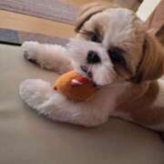 ヒメ日記 2025/10/21 09:20 投稿 朋香(ともか) ロケットワイフ